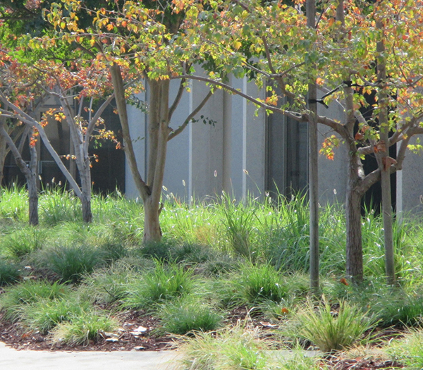 equity-palo-alto-square-thmb